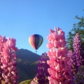 hot air balloon 3